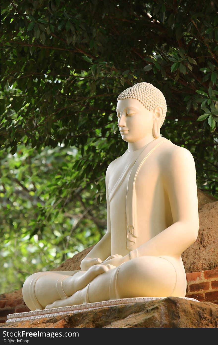 Close Up Photo White Buddha Statue