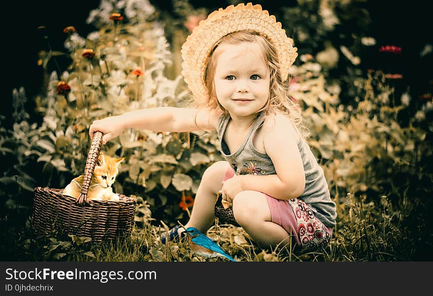 Photo of Girl Playing With Kitten