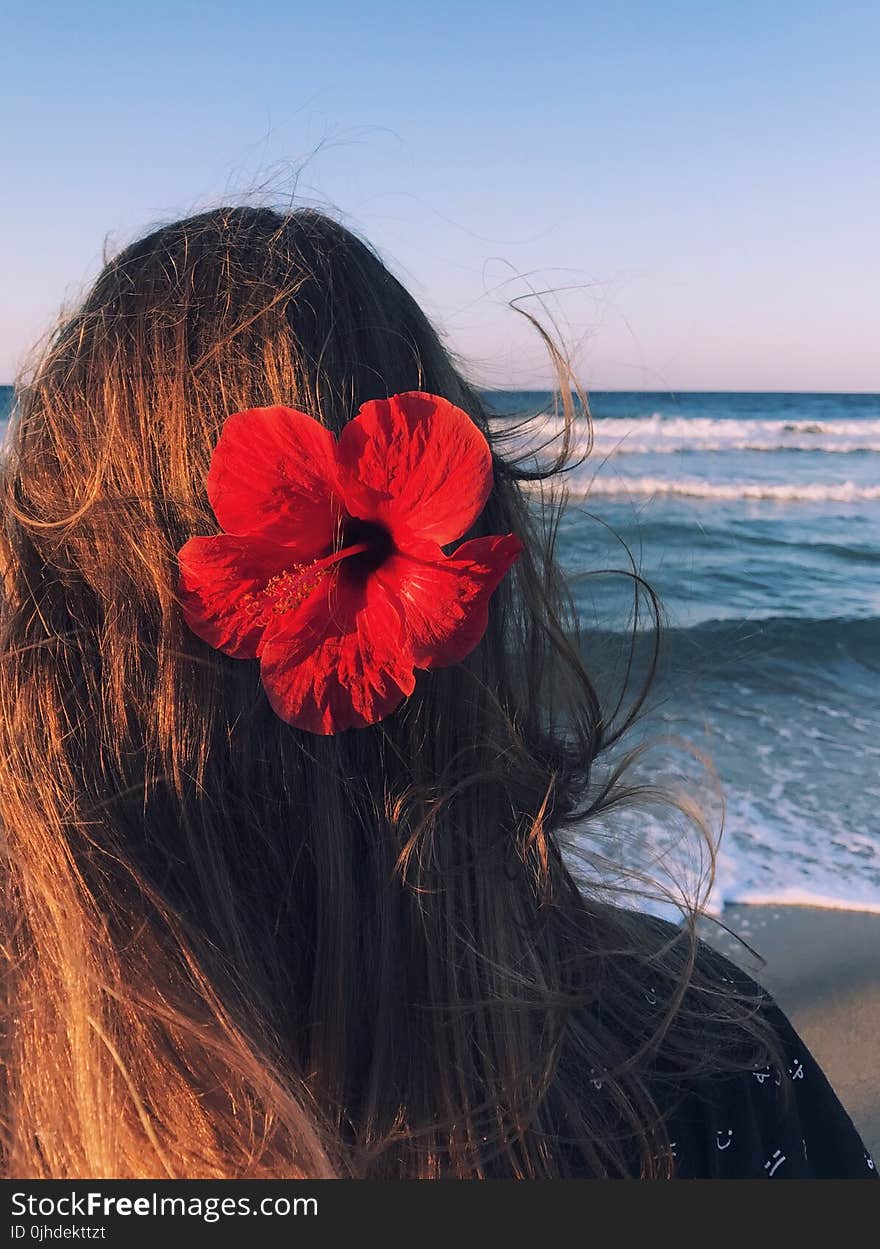 Photo of a Woman With Hibiscus on Her Head Facing Towards the Sea