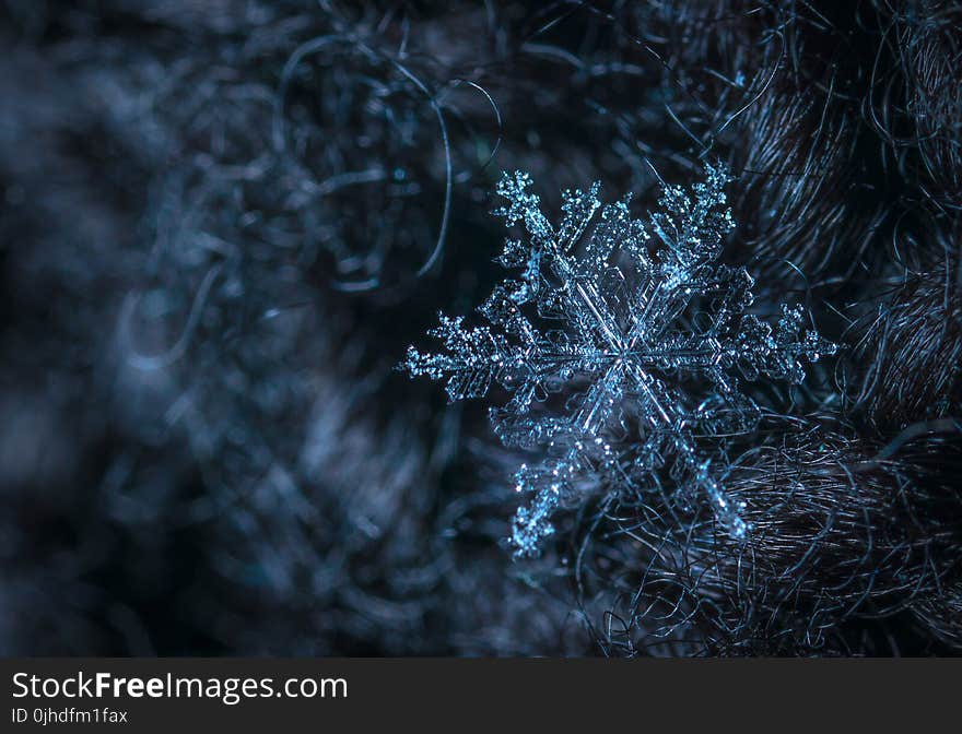 Macro Photography of Snowflake