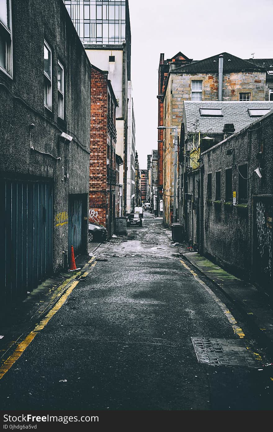 Gray and Brown Houses Beside Pathway