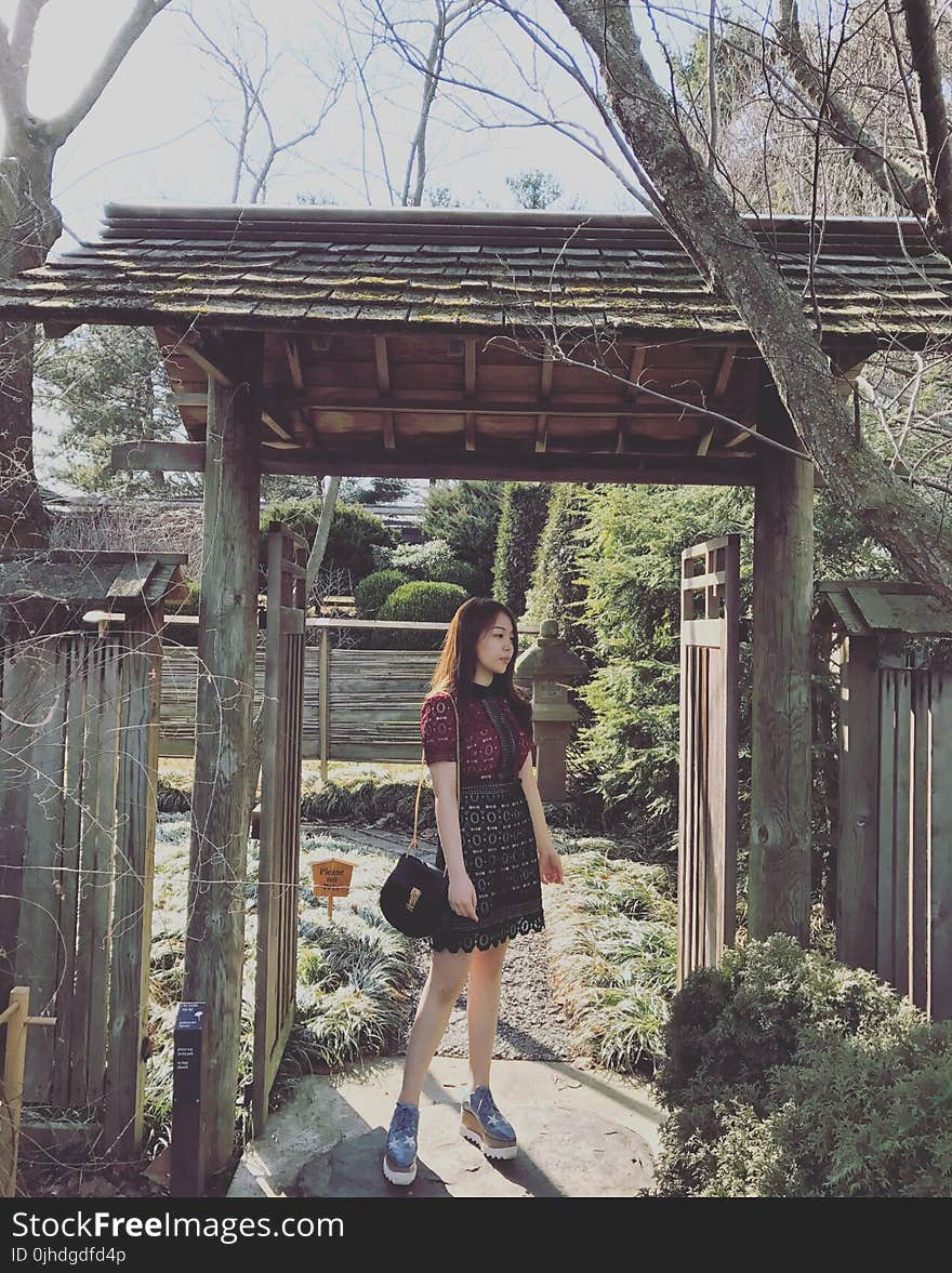 Shallow Focus Photography of Woman in Maroon and Black Dress