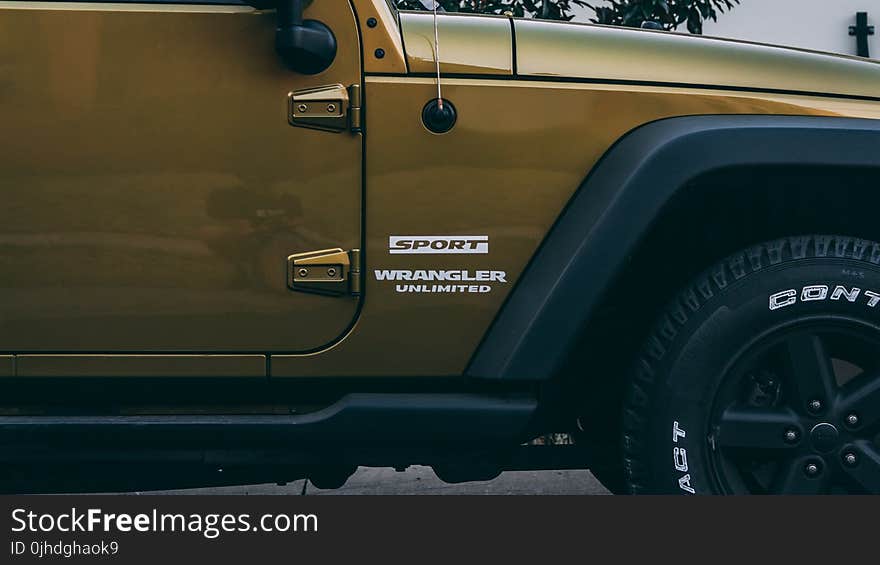 Close-up Photo of Brown Wrangler