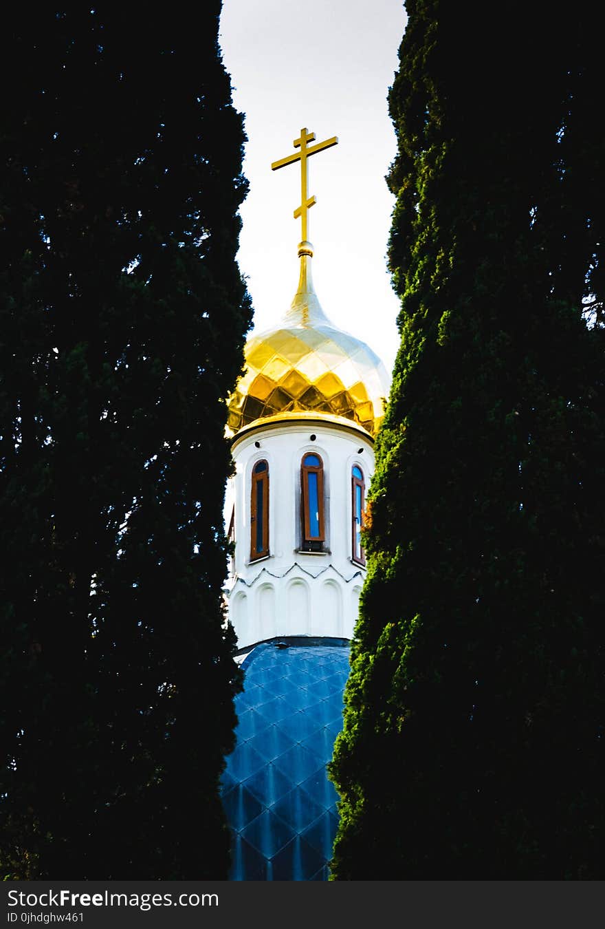 Photo of the Church Between Two Plants