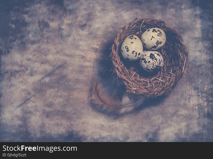 Close-Up Photography of Quail Eggs on Nest