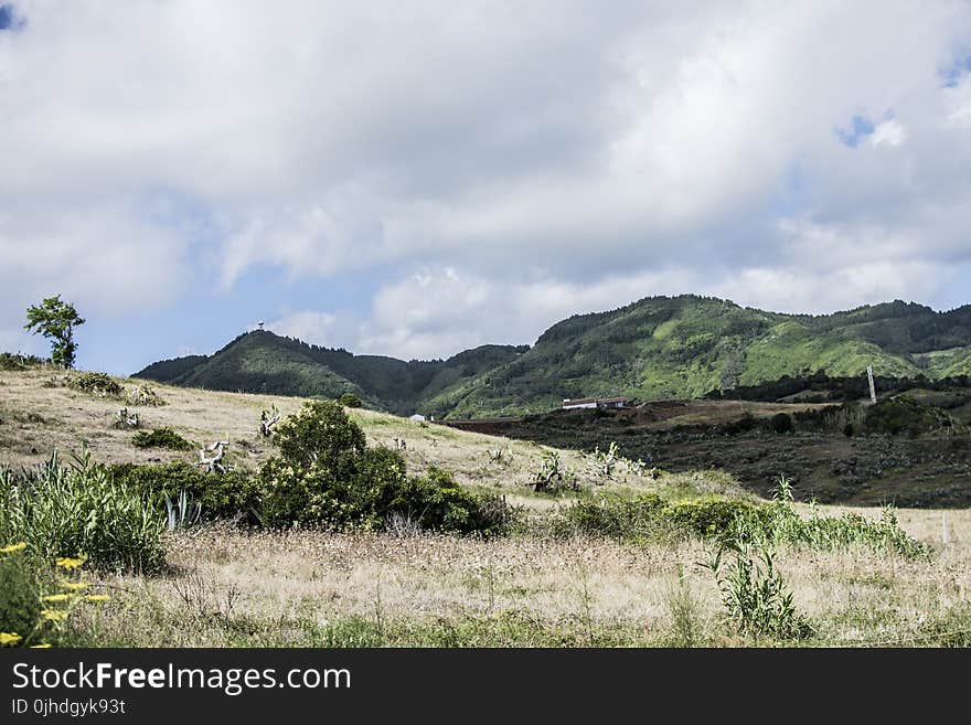 Photography of Green Grasses on Mountain Top