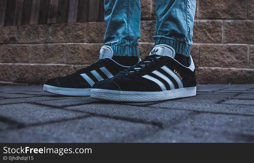 Person Wearing Pair of Black-and-white Adidas Gazelle