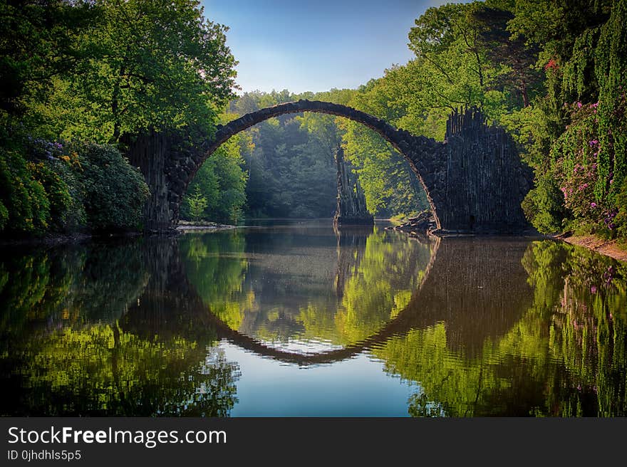 Gray Bridge and Trees