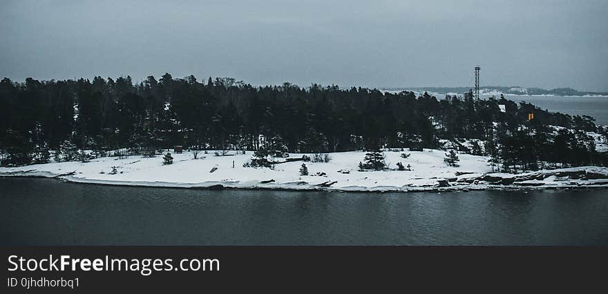 Photo Of Trees Near Body Of Water During Winter