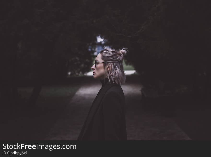 Woman Standing at the Middle of the Road Under Trees Lowlight Photography