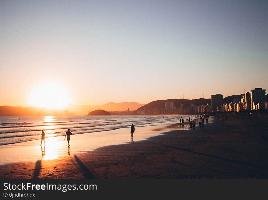 People Walking on Seashore during Golden Hour