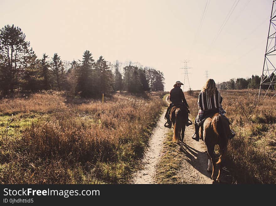 Two Men Riding on Brown Horse