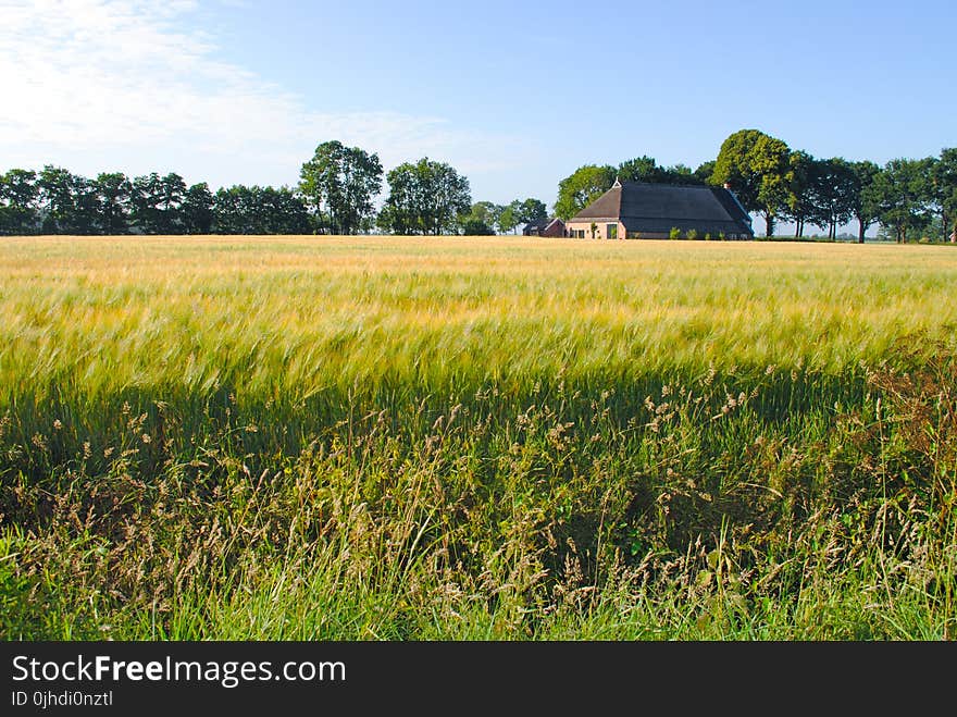 Photo of Grass Field