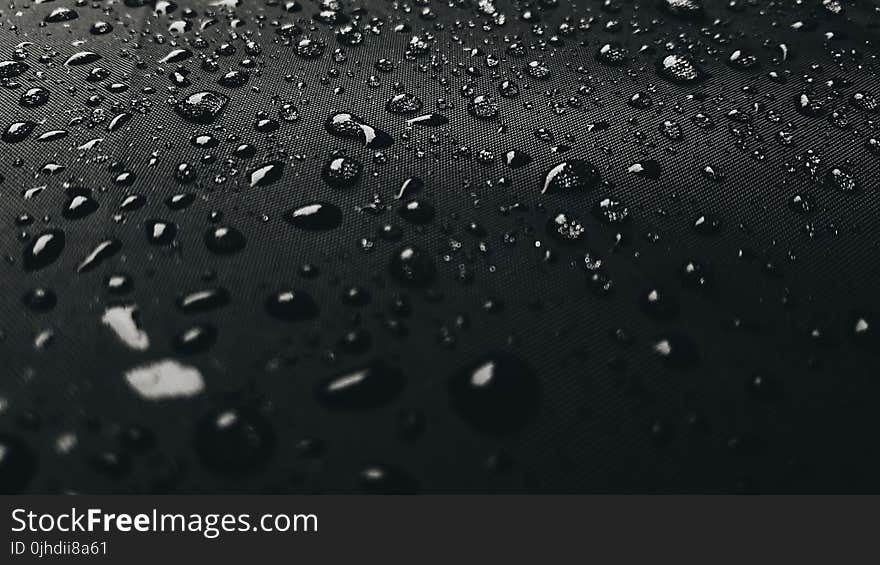 Macro Photography of Rain Drops on Black Surface