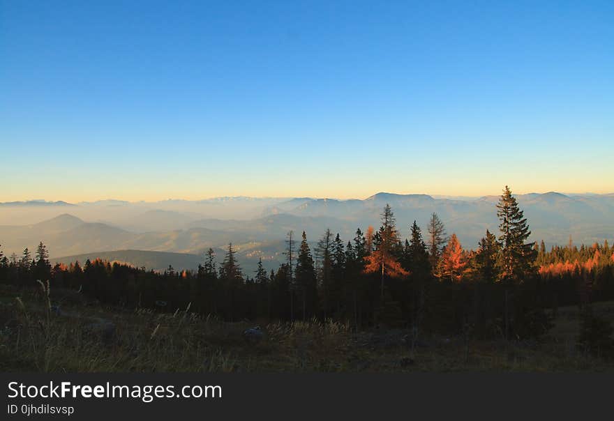 High Angle Photography of Valley Covered With Fog