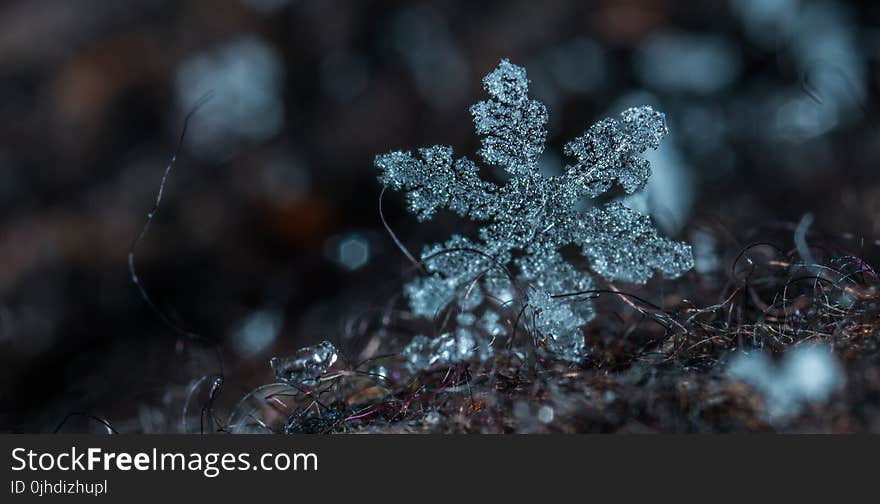 Macro Photography of Snowflake