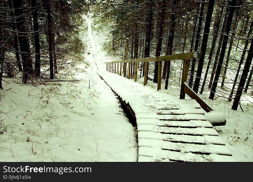 Brown Wooden Stairs Covered With Snow