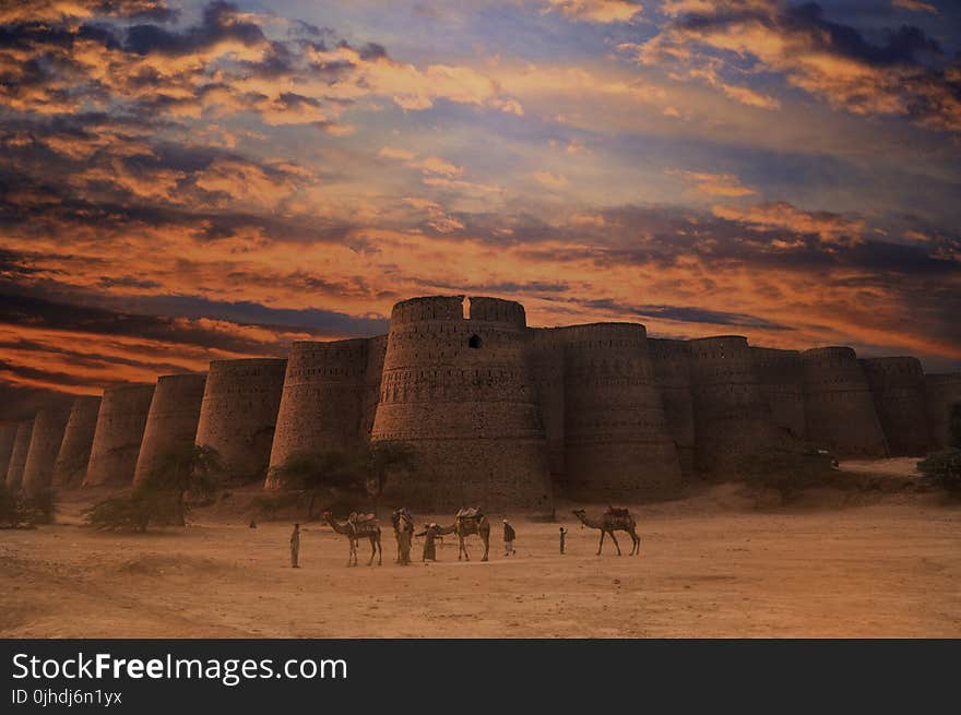 Three Brown Camels Near Building Under Cloudy Sky