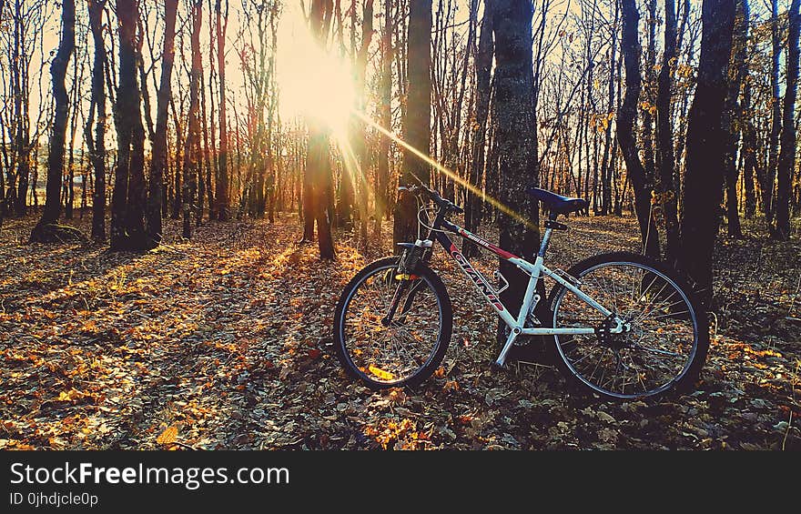 Red and White Hardtail Bike