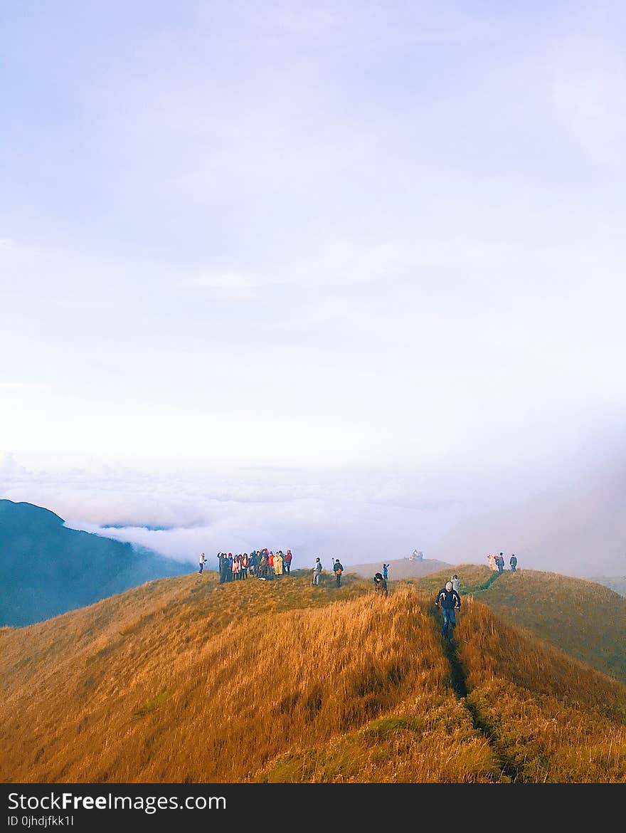 People Standing on Brown Hill