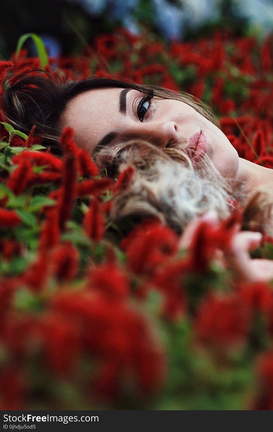 Photography of a Woman Lying on Flowers