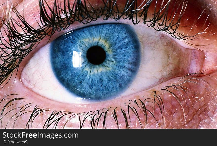 Blue Human Eye