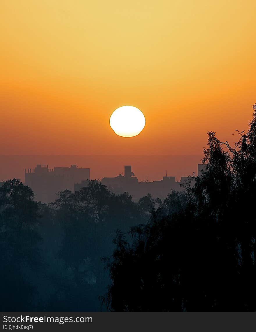 Silhouette Of Trees And Buildings During Sunset