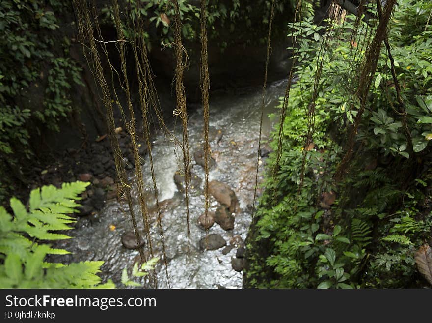 Photography of River With Rocks