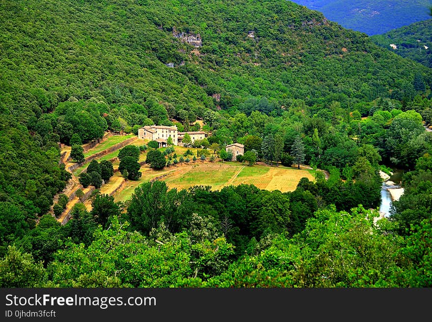 Bird&#x27;s Eye View of Trees