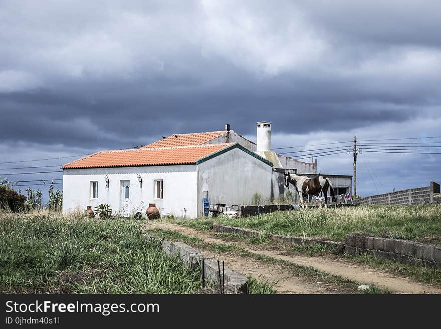 White Concrete House Surrounded by Green Grass