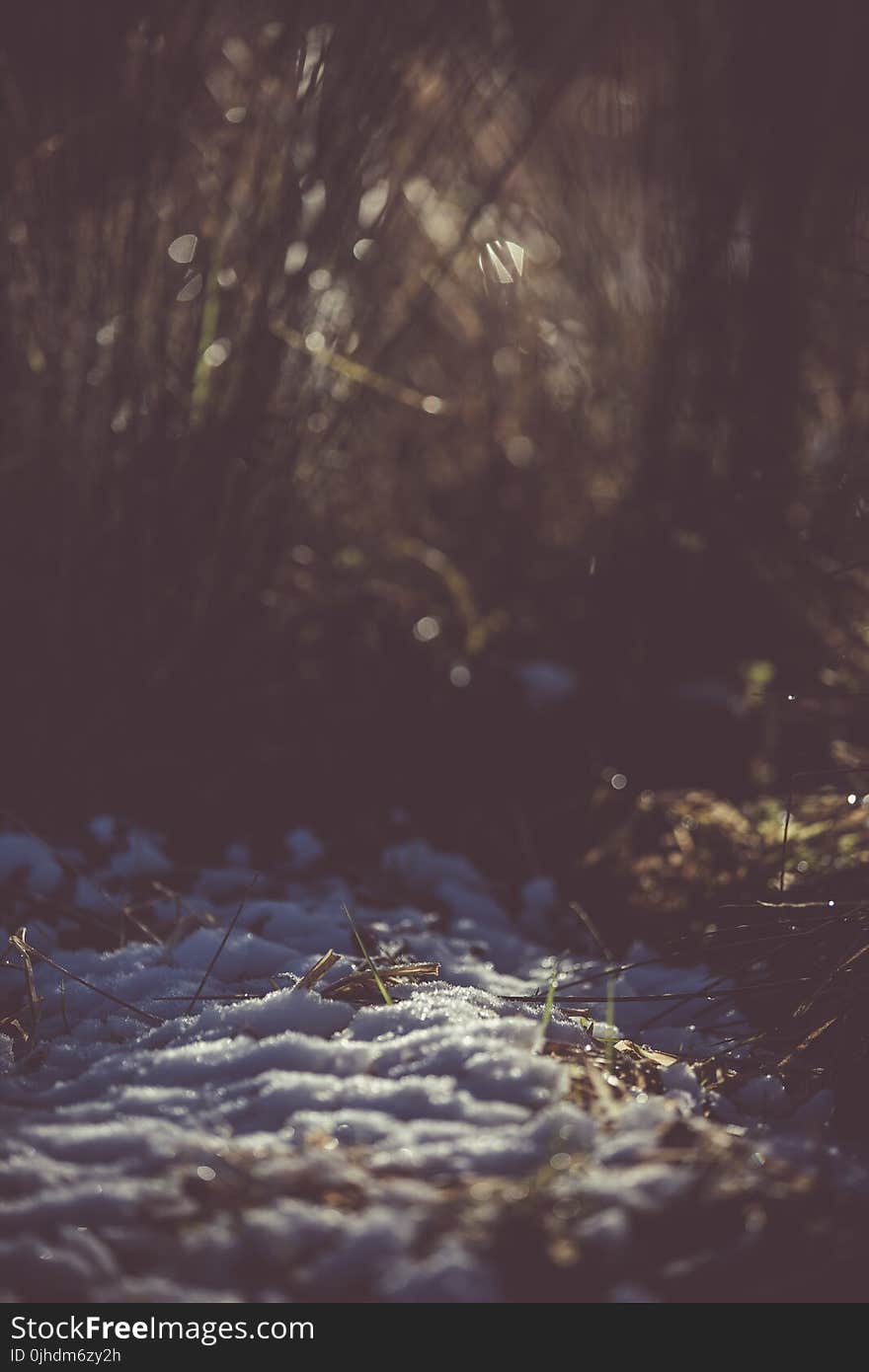 Snow On Ground