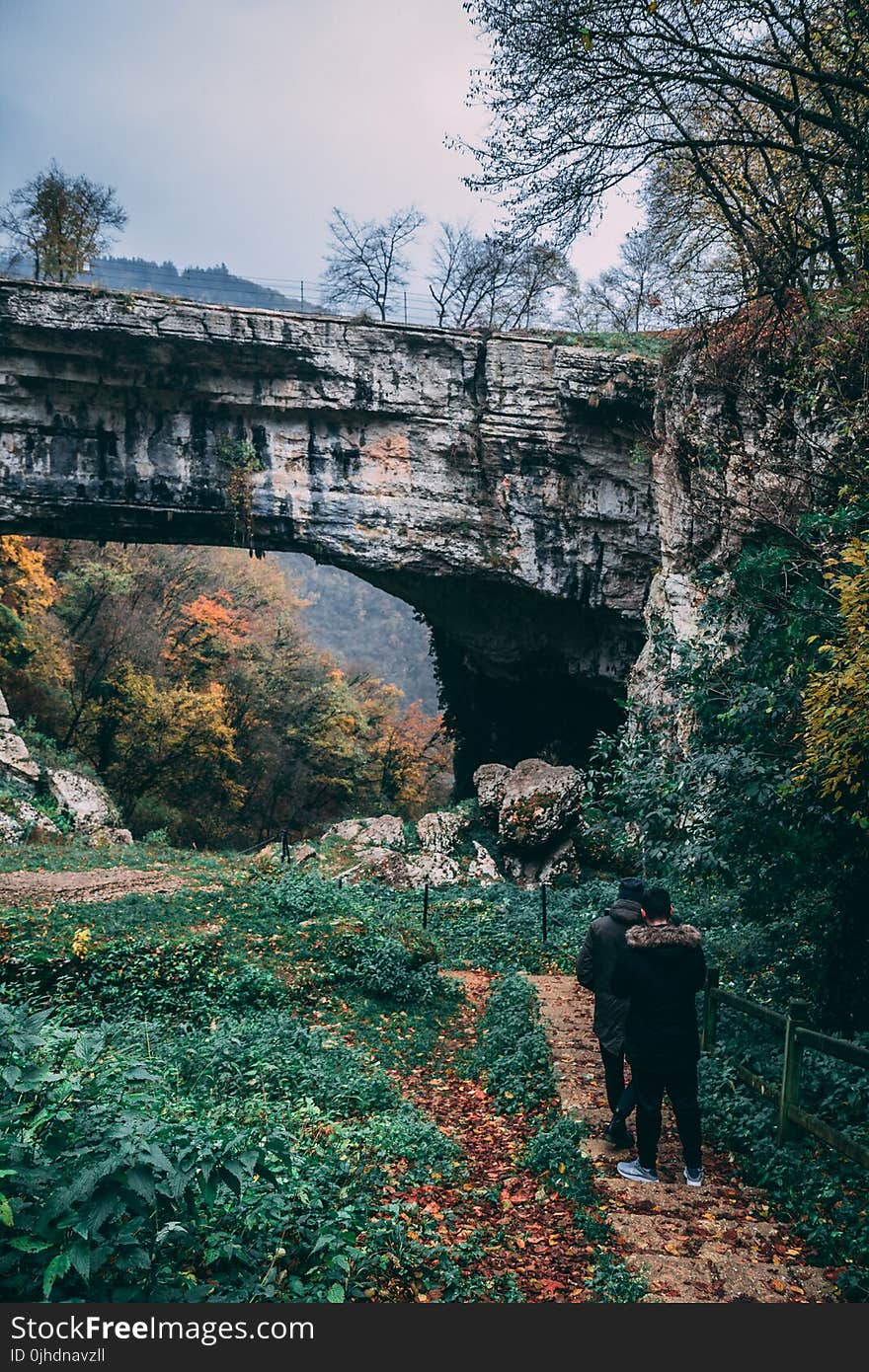 Two Person Walking on Forest