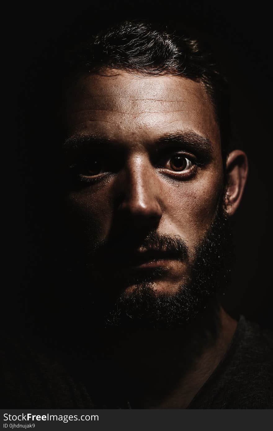 Photography of a Person With Beard