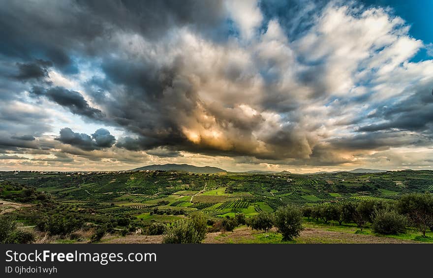 Green Forest Under Cloudy Sky