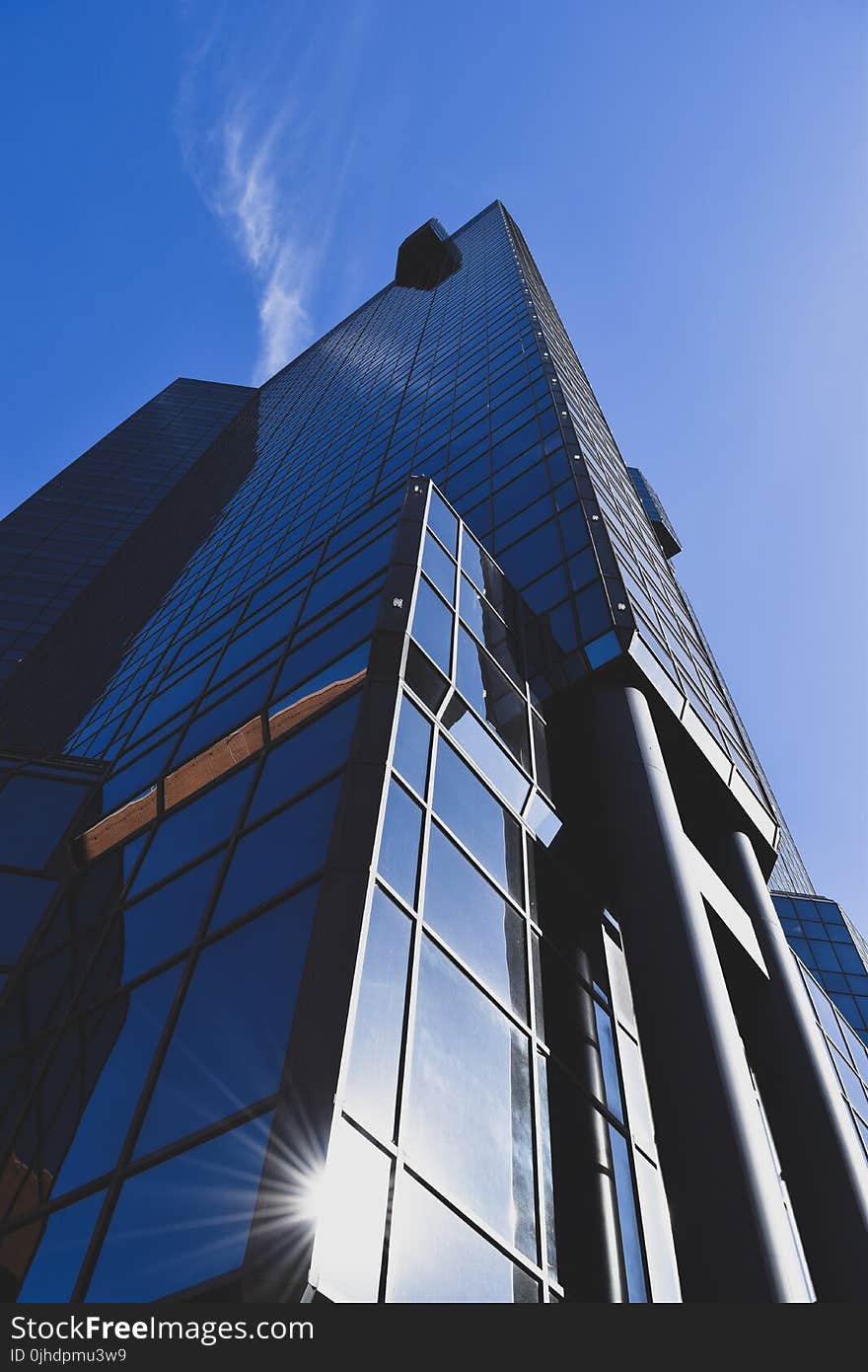 Low Angle Photography of Glass Building