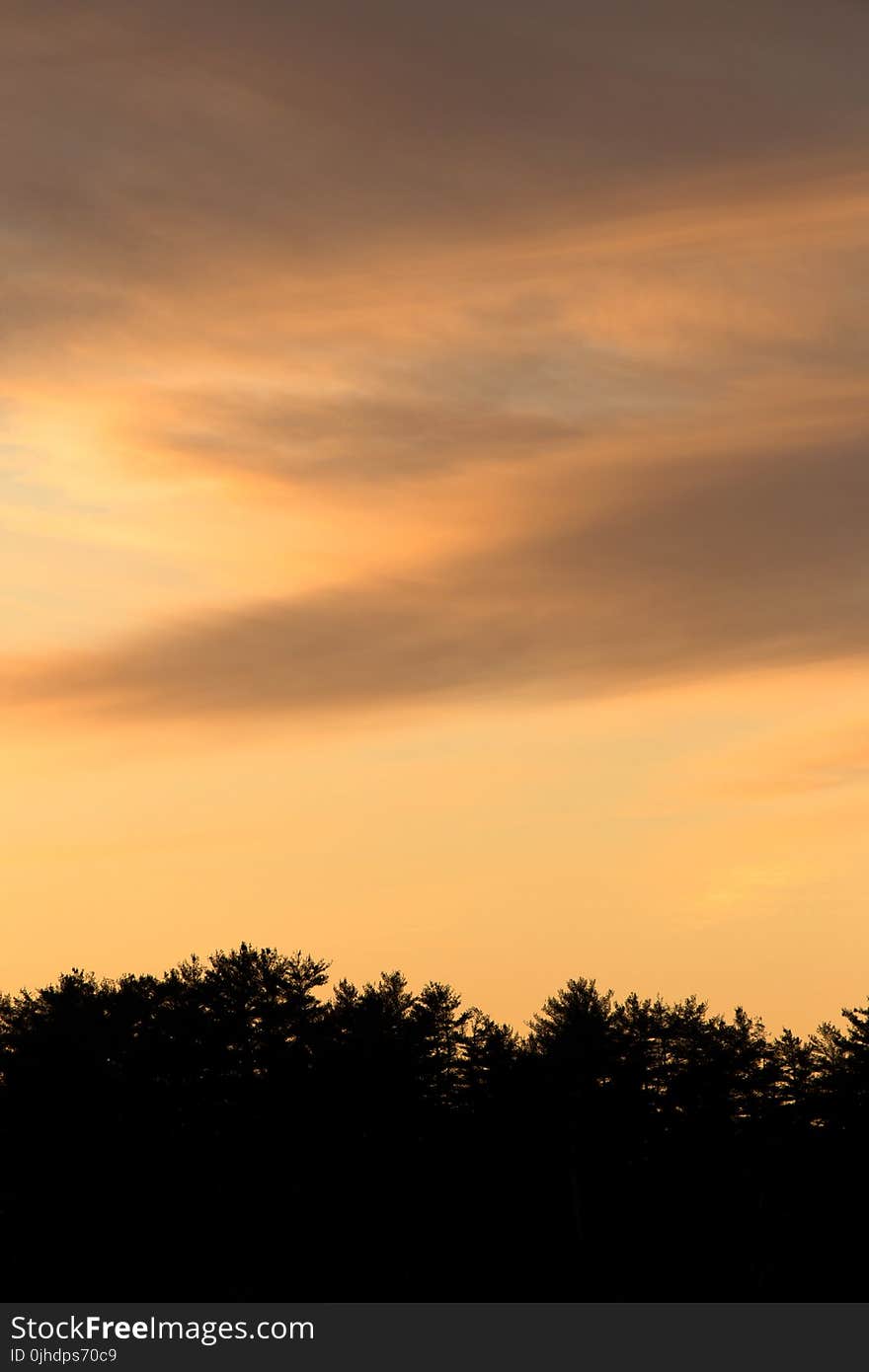 Sky During Sunset