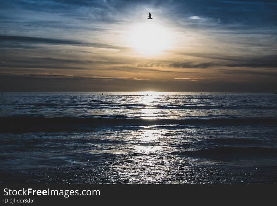 Body of Water during Sunset