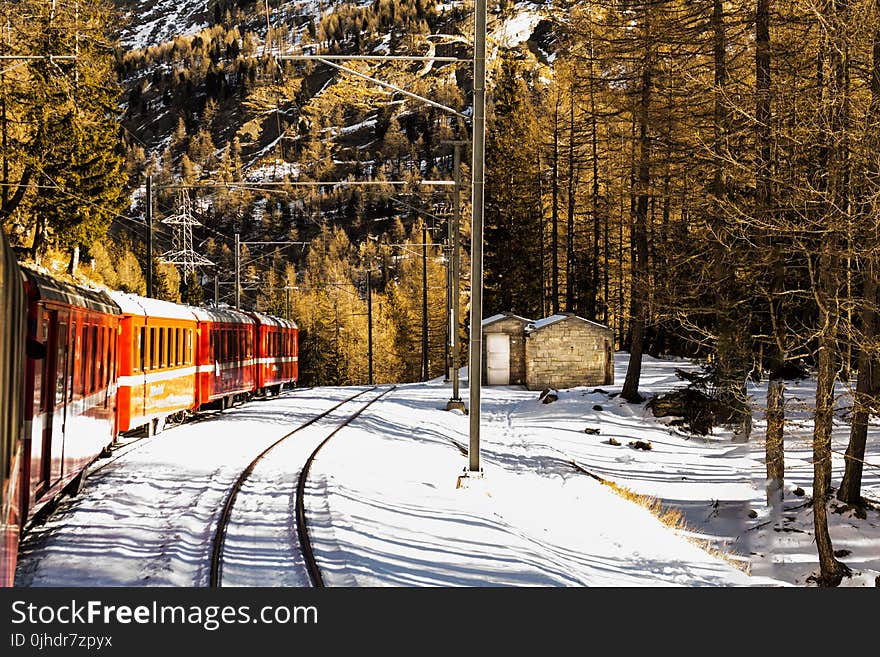 Red Train Near Trees