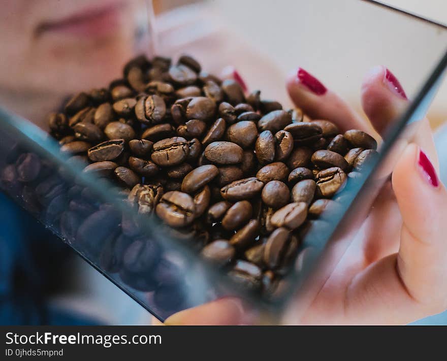 Person Holding Coffee Beans on Glass Bowl