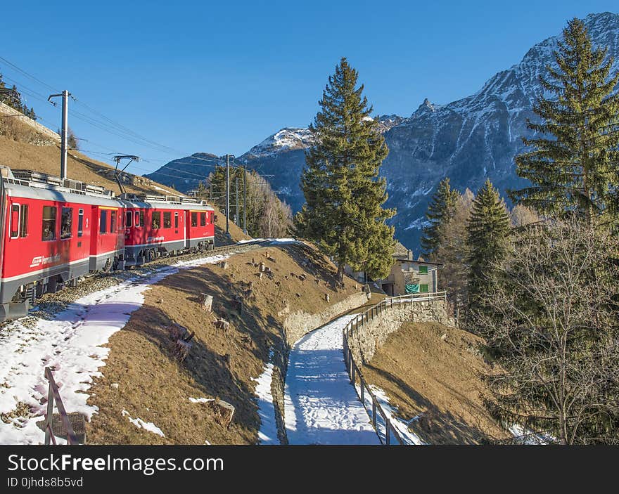 Moving Train With Mountain and Trees in Background