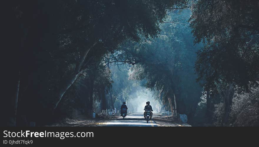 Two People Riding Motorcycle in the Middle of the Forest