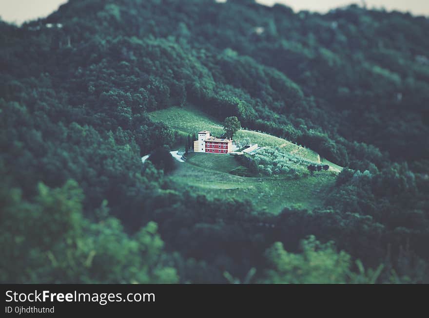 Areal Photography of White Building Surrounded by Forest