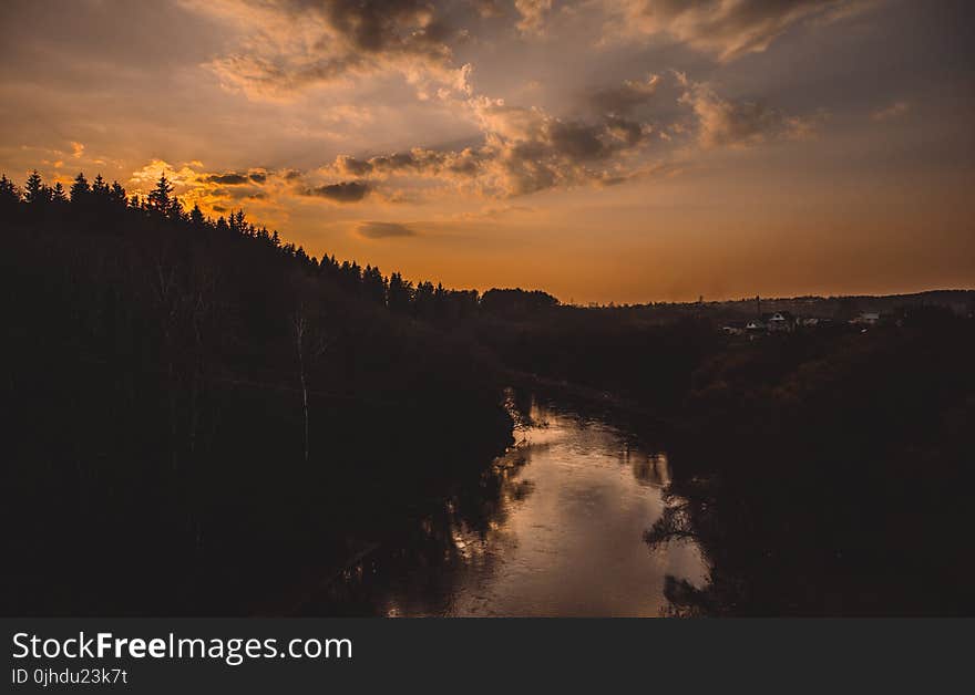 Silhouette of Trees Beside River