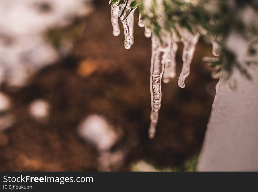 Close-Up Photography of Icicles