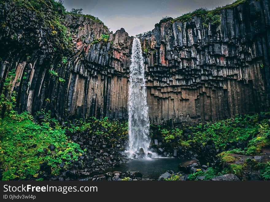 Waterfall Surrounded With Green Leaf Plant View