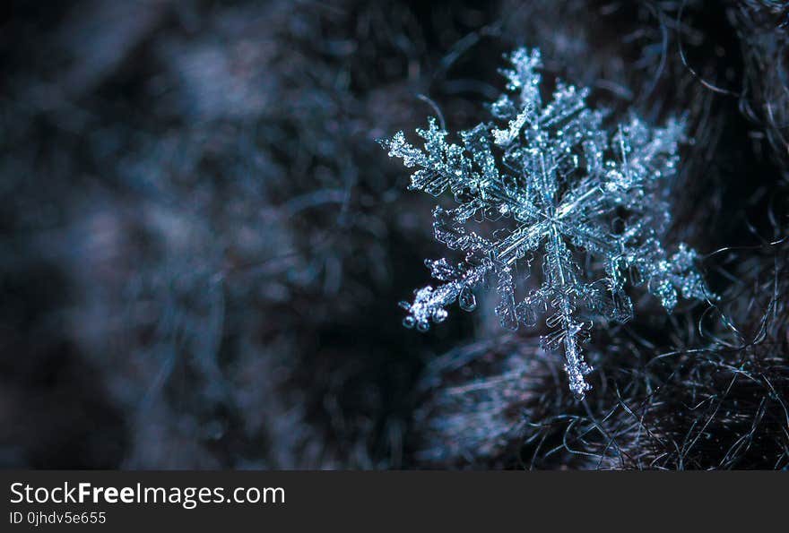 Close-up Photography of Snowflake