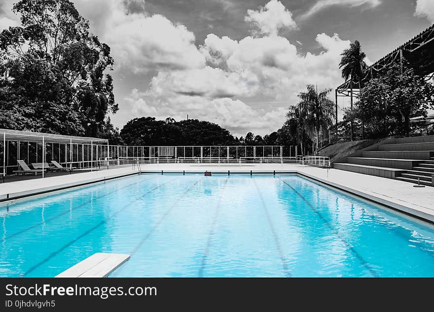 White Concrete Framed Swimming Pool Near Benches With Gate Surrounded by Trees