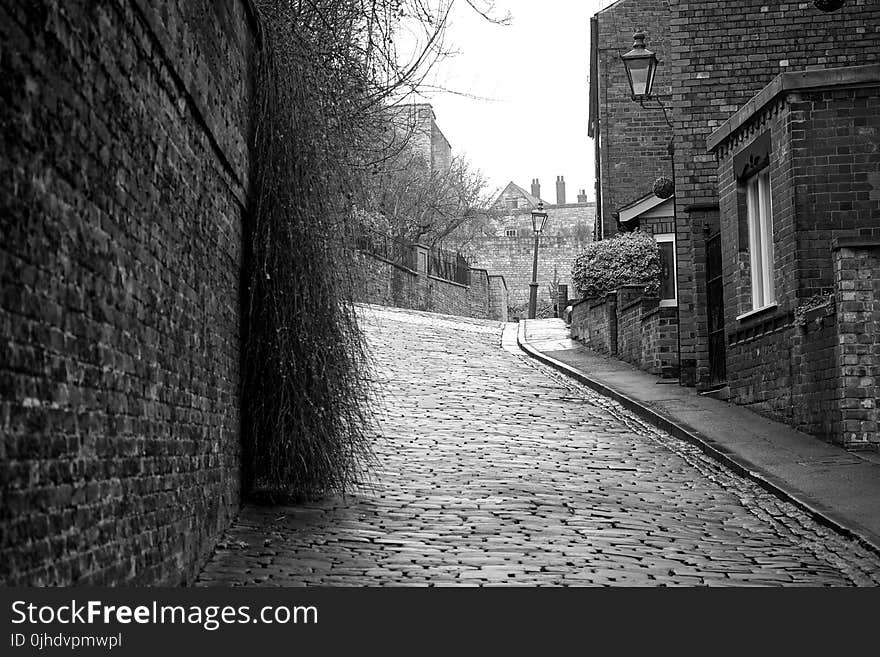 Greyscale Photography of Roadway Between Brick Wall and Houses