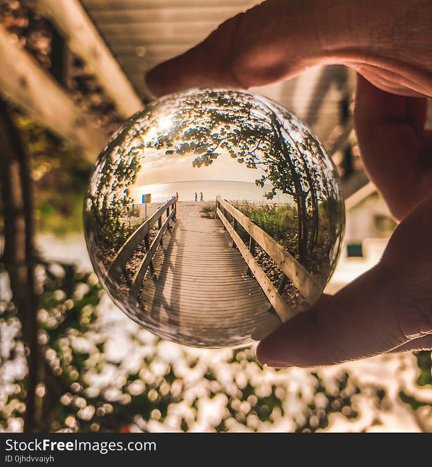 Shallow Focus Photo Of Glass Ball