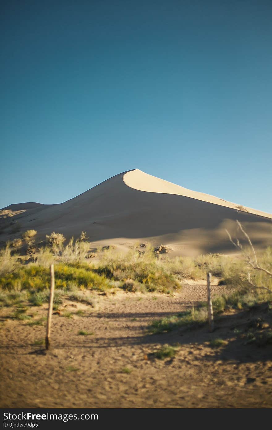 Green Grass Across Desert Under Blue Sunny Sky